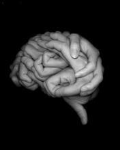 brain hands